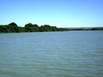 Murray River, grünes Ufer