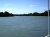 Richtung Mannum auf dem Murray River, Reisebericht aus Australien