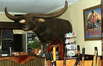 Pine Creek Charlie, Cocodile Dundees Bar