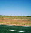 Gilles Road Outback