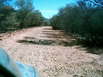Serpentine Gorge und Road Lookout