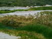 Mound Springs