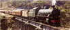 Rich Piche Outback Train