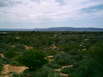 Arid Lands Botanic Garden