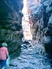 The Narrows Alligator Gorge