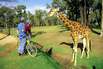 Bathurst Zoo
