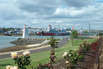 Devonport Mussel Rock