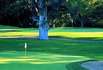 Golfplatz