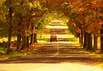 Herbst in Australien
