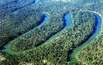 Windungen des Murray River