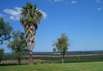 Noarlunga