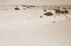 Simpson Desert Nationalpark