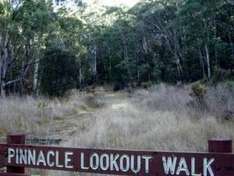 Aufstieg zum Pinnacle Lookout Mount Canobolas