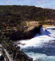 Felsen und Küste im Bouddi National Park