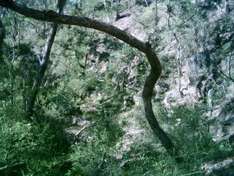 The Gardens of Stone National Park