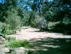 Upper Hunter River - Goulburne River National Park