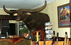 Pine Creek Charlie, Cocodile Dundees Bar