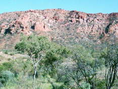 zum Kings Canyon