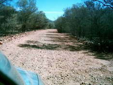 Serpentine Gorge und Road Lookout