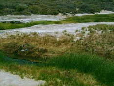 Mound Springs