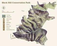 Black Hill Conservation Park - Der Geheimtipp bei Adelaide