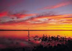Coorong Nationalpark