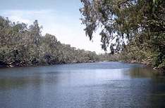 Jardine River Nationalpark
