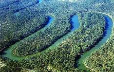 Windungen des Murray River