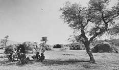 Old Murray River - Tipi