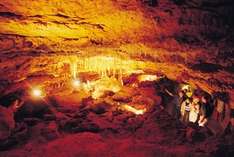 Naracoorte Caves
