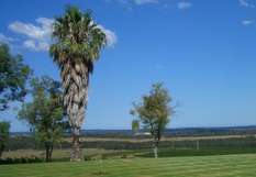Noarlunga