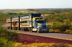 The Stuart Highway Road Trains Roos And Roadhouses - kootation.com