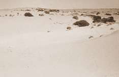 Simpson Desert Nationalpark