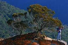 Yengo Nationalpark
