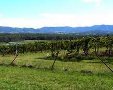Hunter Valley