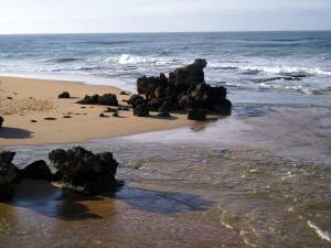 Lady-Bay