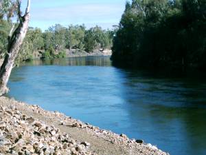 Wiradjuri Walking Track