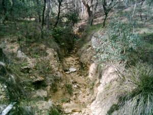 Bluff Tunnel