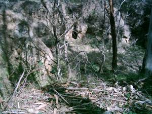 Bluff Tunnels Ophir