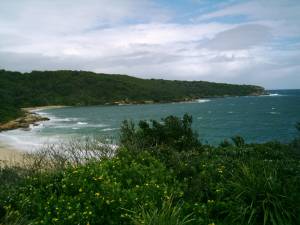 Aussicht &uuml;ber den Botany National Park