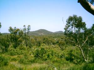Blick &uuml;ber den Brisbane Water National Park