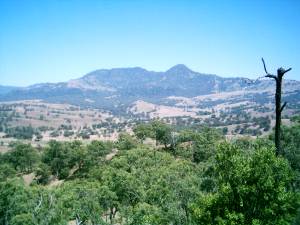 Aussicht &uuml;ber die Burning Mountain