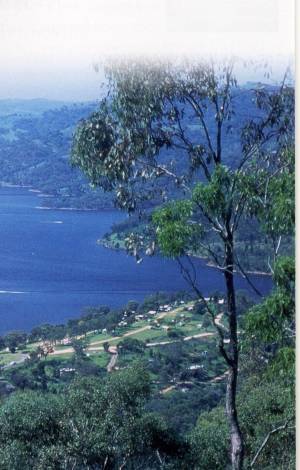Lake Burrandong bei Gulgong