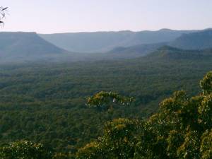 Peason Lookout