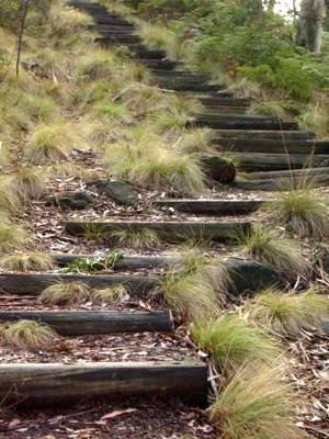 Pinnacle Lookout, Treppen zum Aufstieg