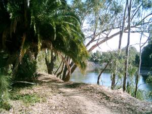 Wiradjuri Walking Track