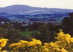 Blick vom Botanischen Garten