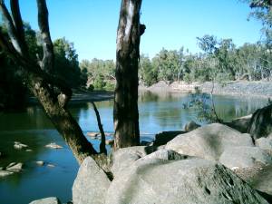 Wiradjuri Walking Track