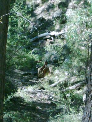 Garten der Steine Nationalpark