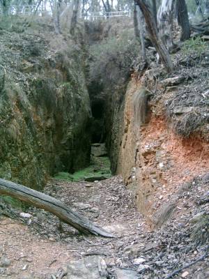 Goldland Ophir